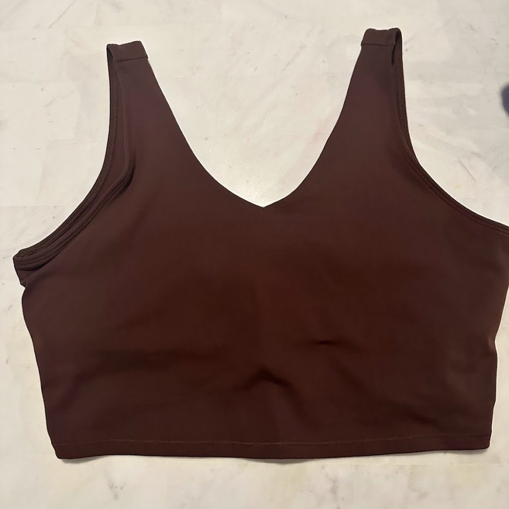 P'tula Brown Sports Bra XXL